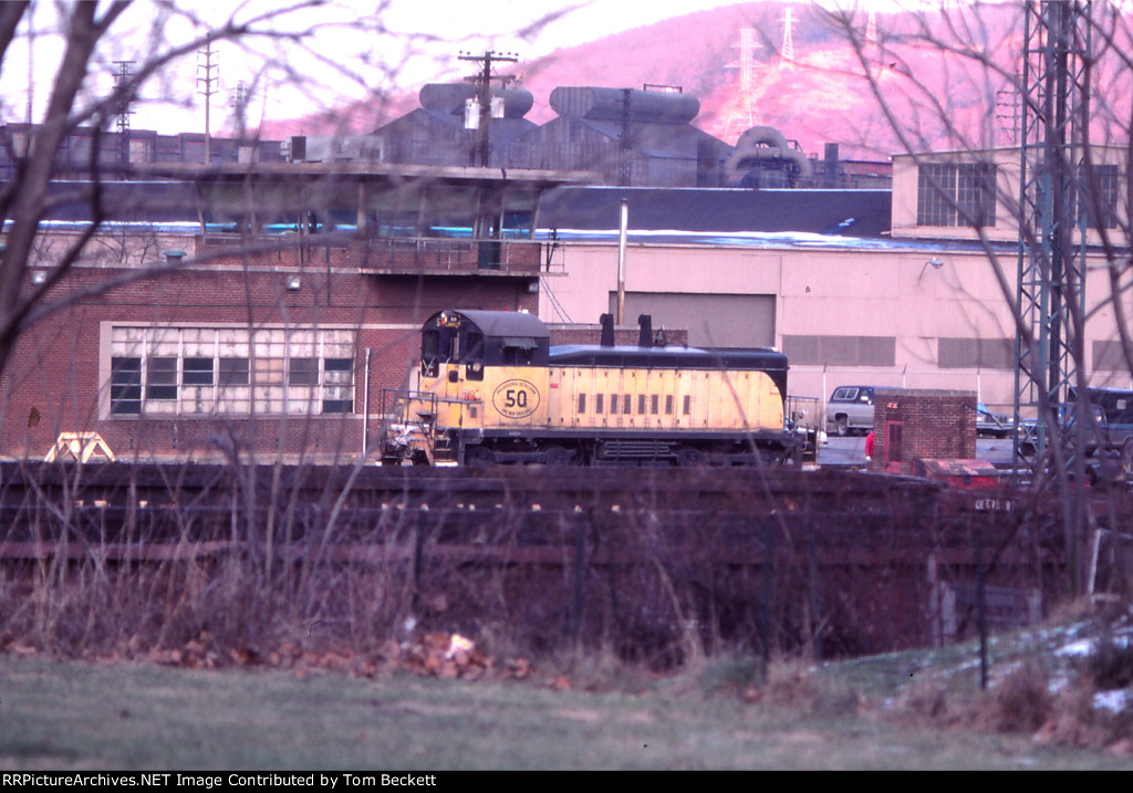 Switcher in the trees